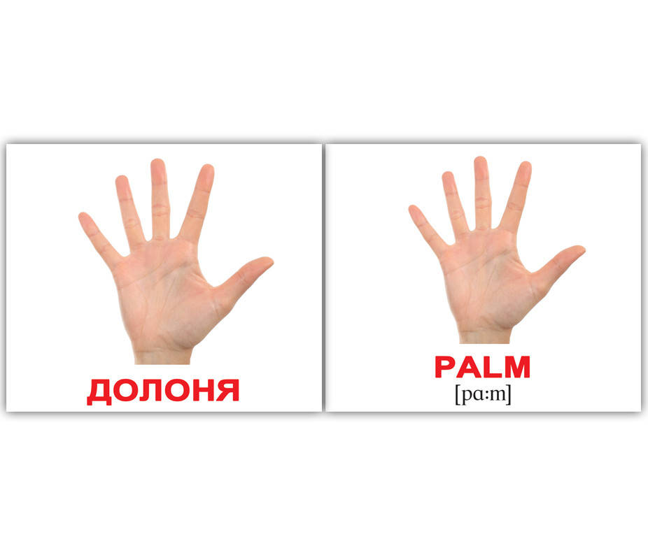 

Карточки Домана. Людина/Human. Міні. 40 карток., Белый