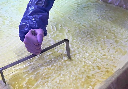 

Фермент СУХОЙ,молокосвёртывающий(на 100л молока)