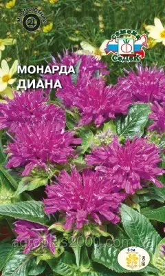

Семена Монарда лимонная Диана 0,2 грамма Седек
