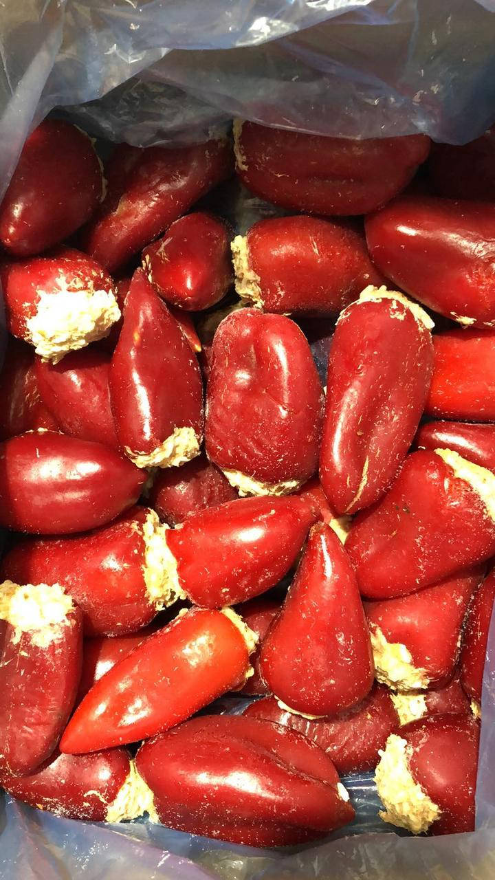 

Перець домашний фирменный, свининой фарш, минимальная фасовка для заказа 2.5 кг. В ящике 5 кг