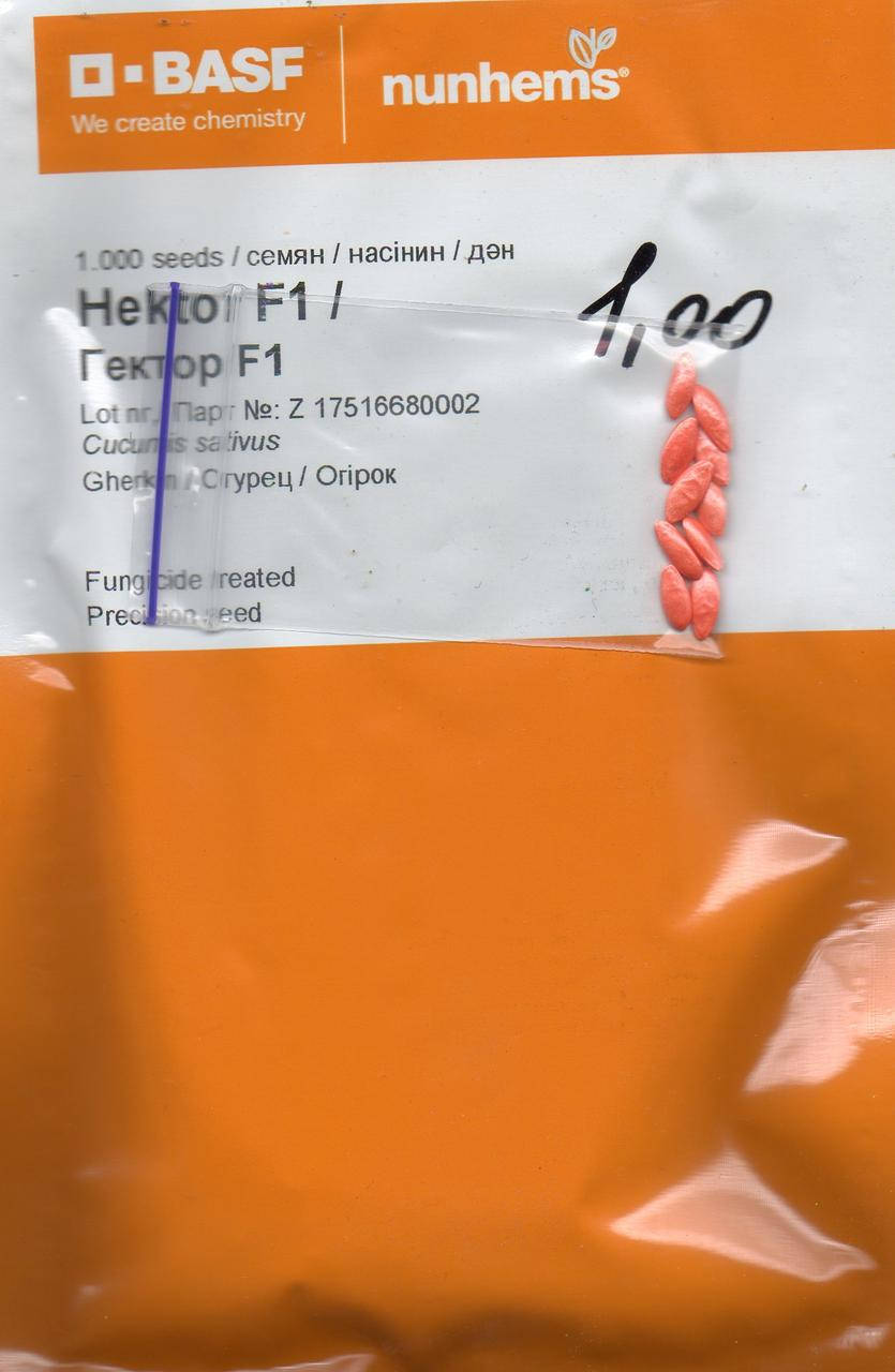 

Огірок ГЕКТОР (HEKTOR) F1