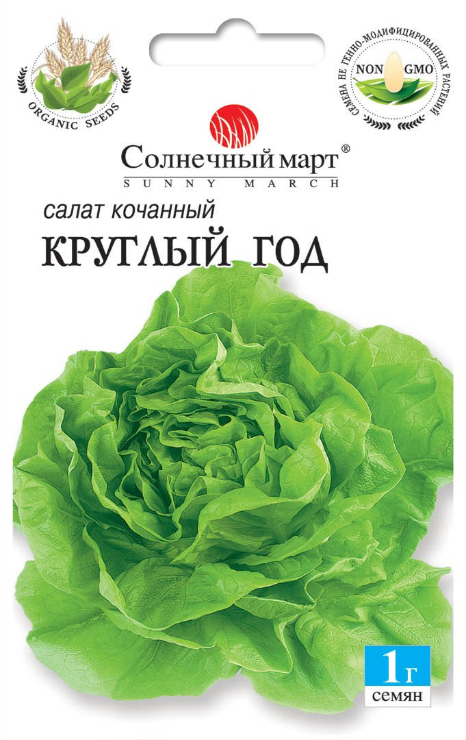 

Салат Круглый год, 1гр.