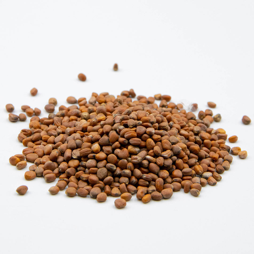 

Семена редиса Чайна Роуз (красная редиска) для выращивания микрозелени 1000г