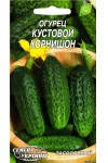 

Семена огурца Кустовой Корнишон 1г Семена Украины