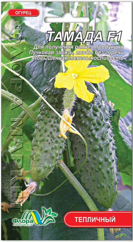 

Огурец Тамада F1