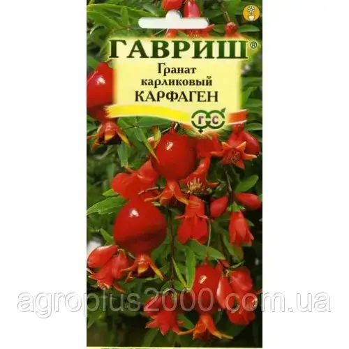 

Семена Гранат карликовый Карфаген 5 семян Гавриш, Красный