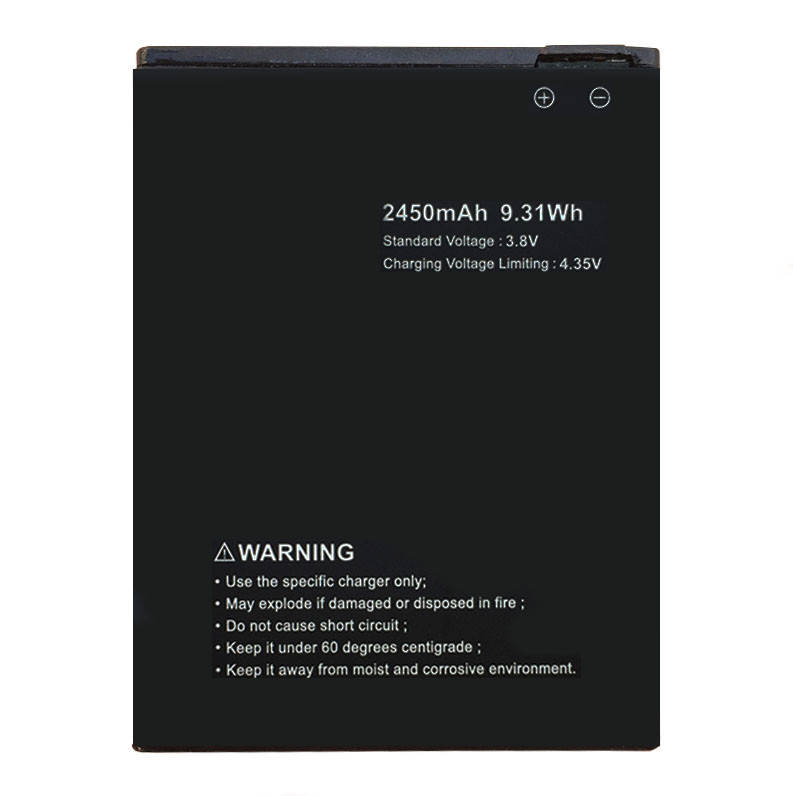 

Аккумулятор для Ergo F502 Platinum (2450 mAh)