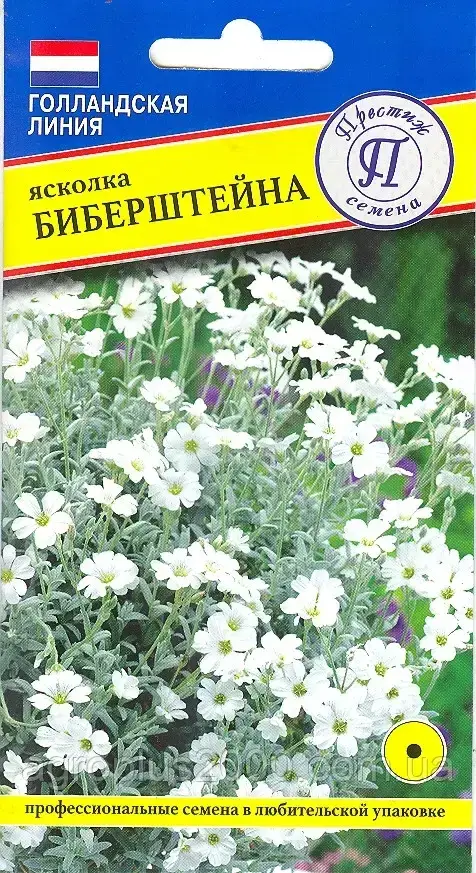 

Семена Ясколка Биберштейна 0,1 грамма Престиж, Белый