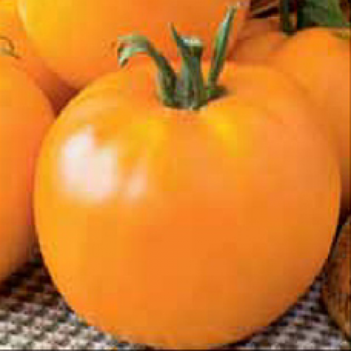 

Томат "Микадо желтый", 0,2г.