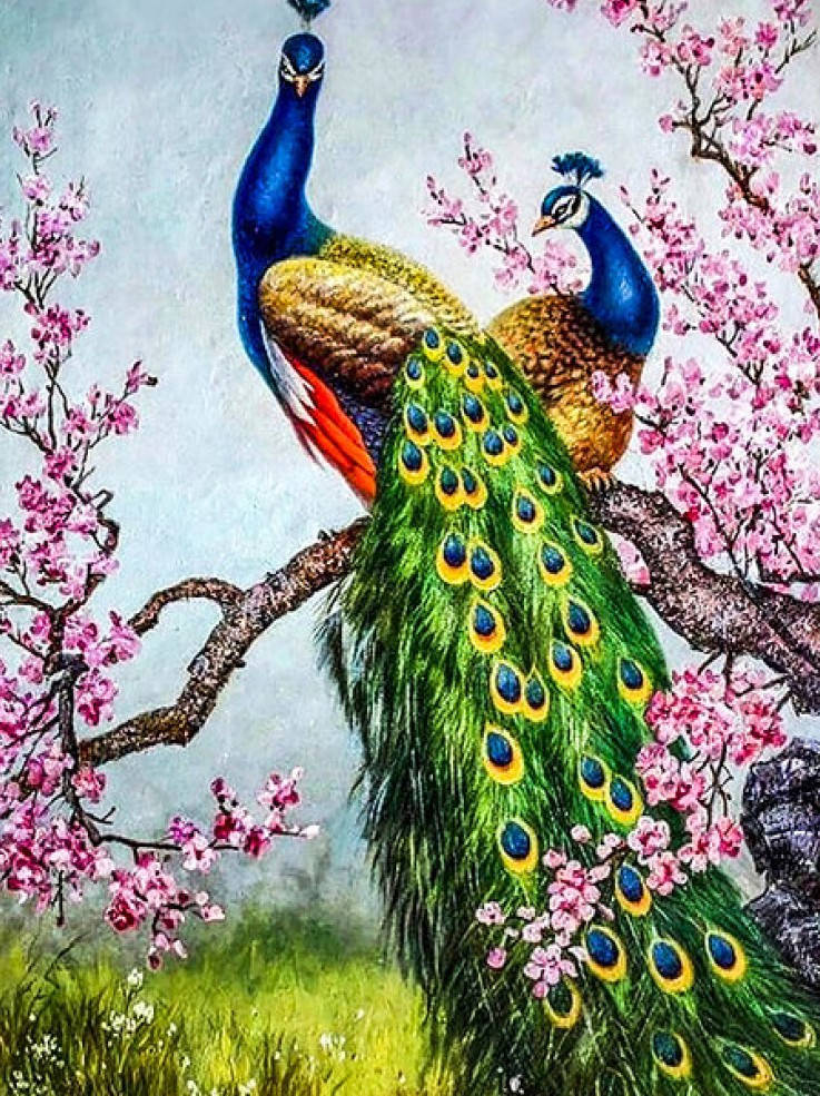 

Алмазная мозаика и Картина по номерам 3D 2 в 1 Два Павлина на подрамнике 40х50 см CY2333