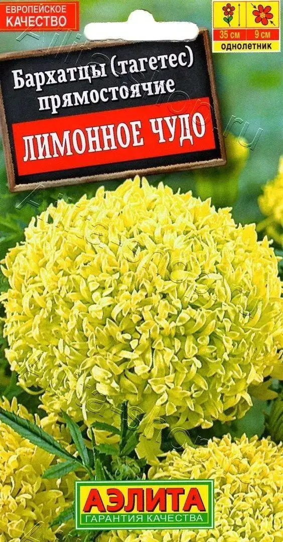 

Бархатцы Лимонное чудо прямостоячие 0,05г