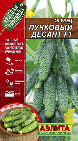 

Семена Огурец самоопыляющийся Пучковый Десант F1, 0,25 грамма Аэлита