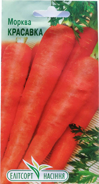 

Семена моркови Красавка 2 г ранняя