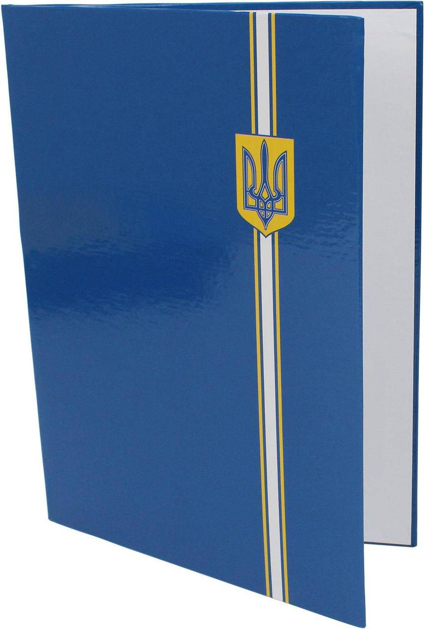 

Папка A4 "До підпису" синя №E30901-02/Economix/(40)