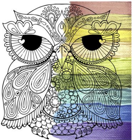 

Набір для розпису - антистрес "Квіткова сова" ТМ "RIVIERA BLANCA", шт RB-0611