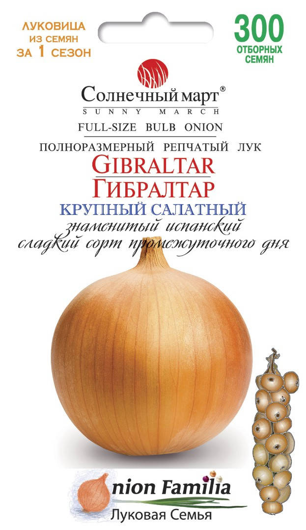 

Лук Гибралтар, 300шт.