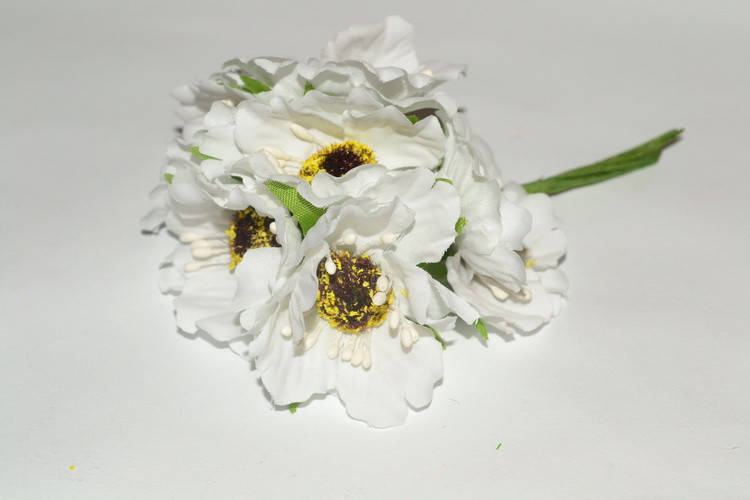 

Декоративные цветы - Мак