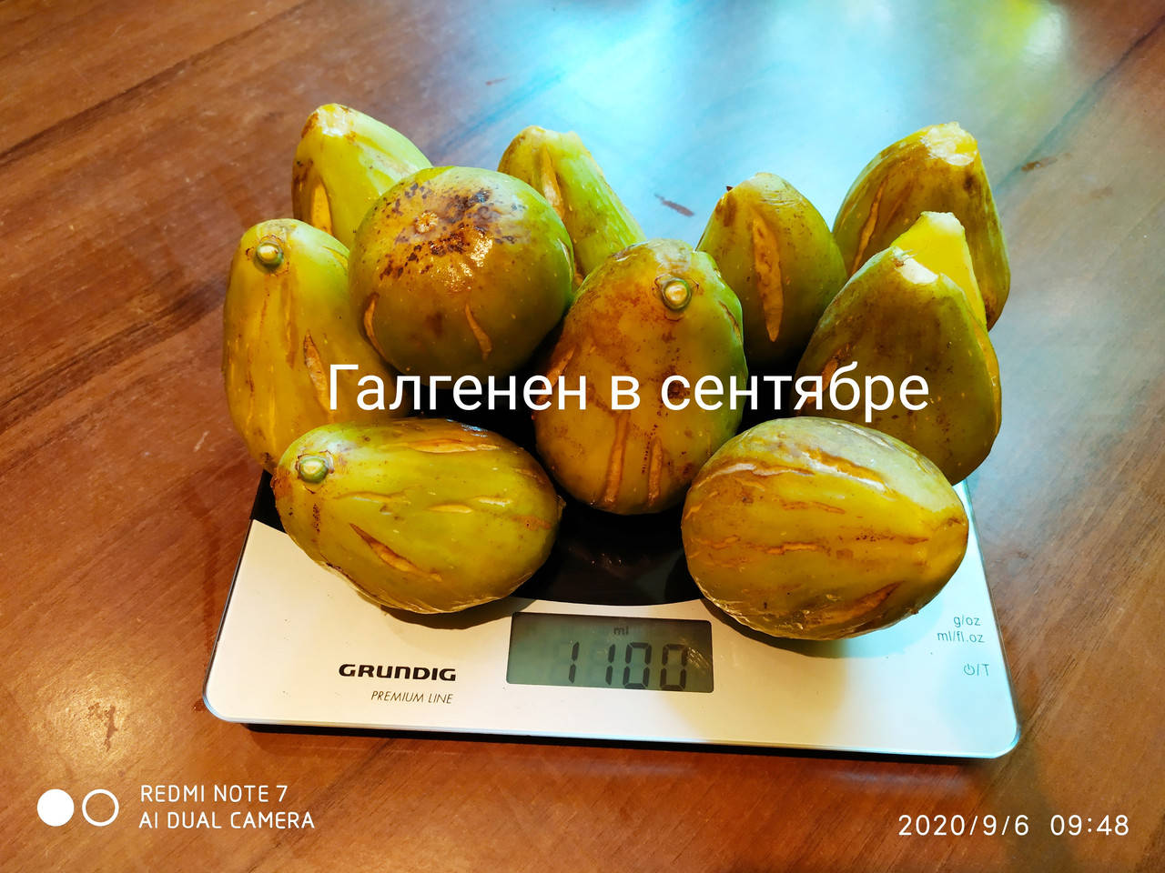 

Набор №5 черенков инжира