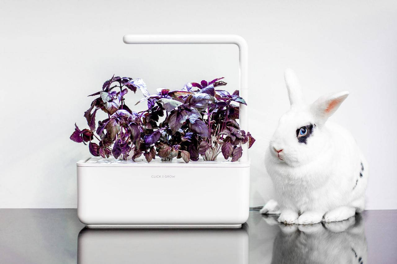 

Умный цветочный горшок Smart Garden 3 7205 7229 7212 SG3 Умный сад