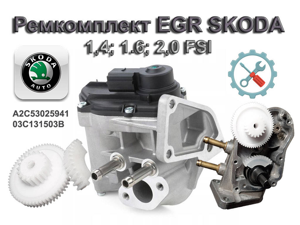 

Ремкомплект EGR SKODA A2C53025941