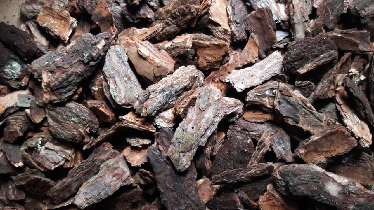 

Кора сосновая большая (Мульча) 50 л