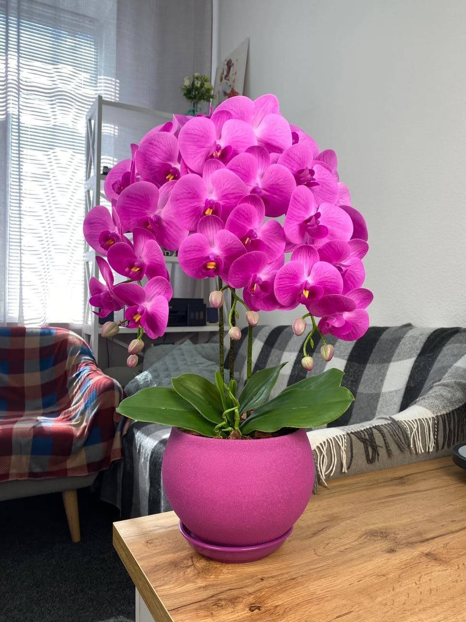 

Латексная орхидея Premium в розовом керамическом кашпо на 3 веточки розовый 58 см 0012