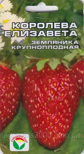 

Семена Клубника крупноплодная Королева Елизавета 10 семян Сибирский Сад
