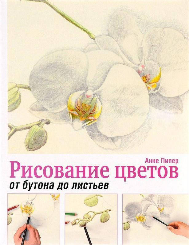 

Книга Рисование цветов от бутона до листьев. Автор - Анне Пипер (Попурри)