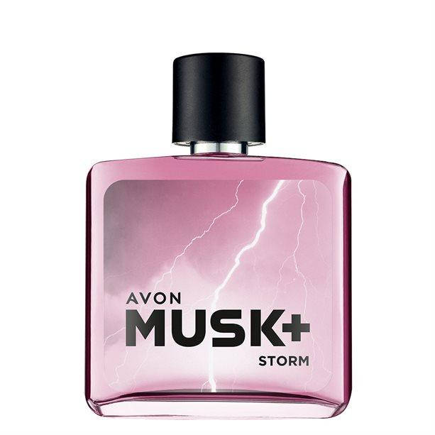 

Туалетна вода Musk Storm + для Нього