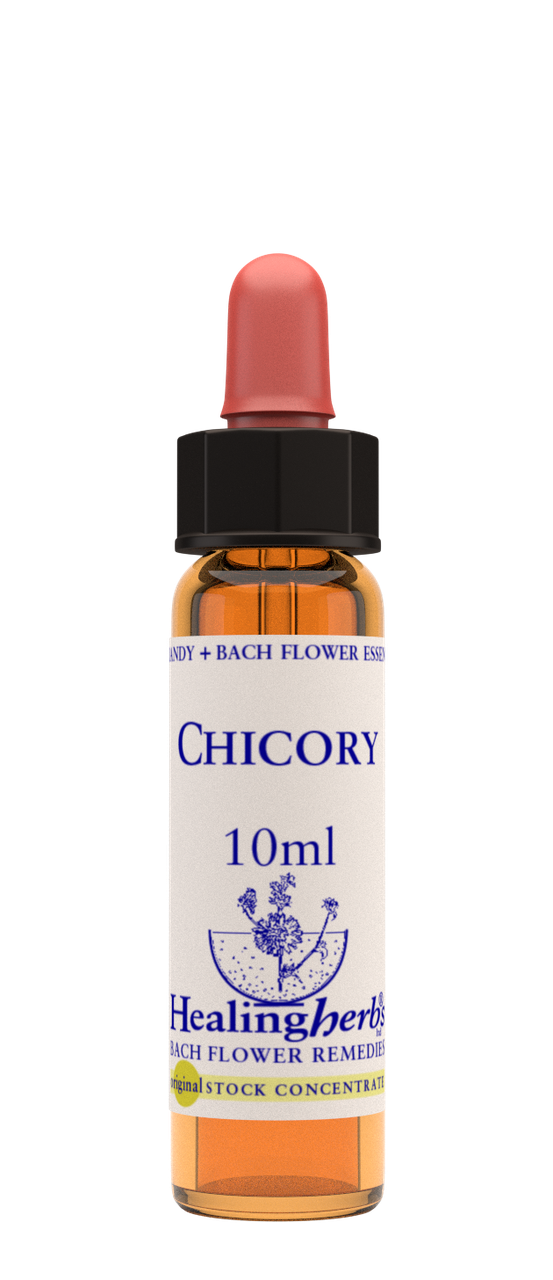 

Цветы Баха. CHICORY - Цикорий (№ 8) Healing Herbs