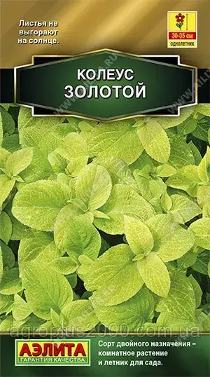 

Семена Колеус блюме Золотой 10 семян Аэлита, Лимонный