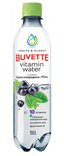 

Напій Buvette Vitamin Water зі смаком чорної смородини та м’яти 500 мл