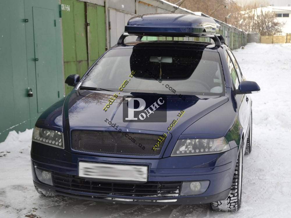 

Реснички на фары Skoda Octavia A5 2005-2009 "Orticar" (стеклопластик), Черный