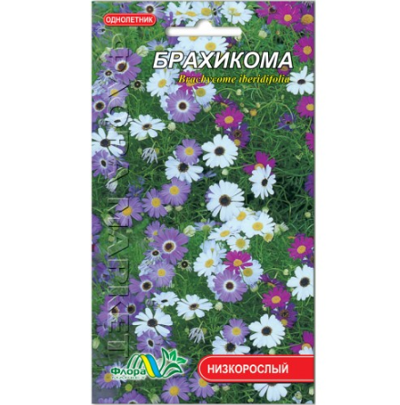 

Брахикома цветы однолетние, семена 0.05 г