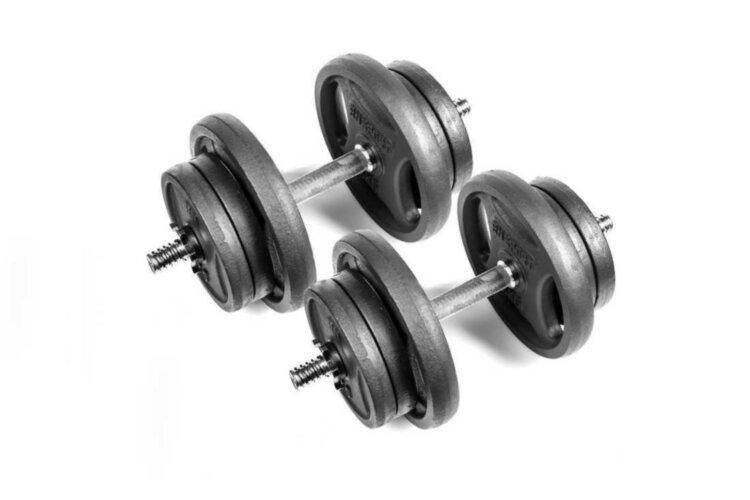 

Гантели разборные RN-Sport 2 по 21 кг металлические