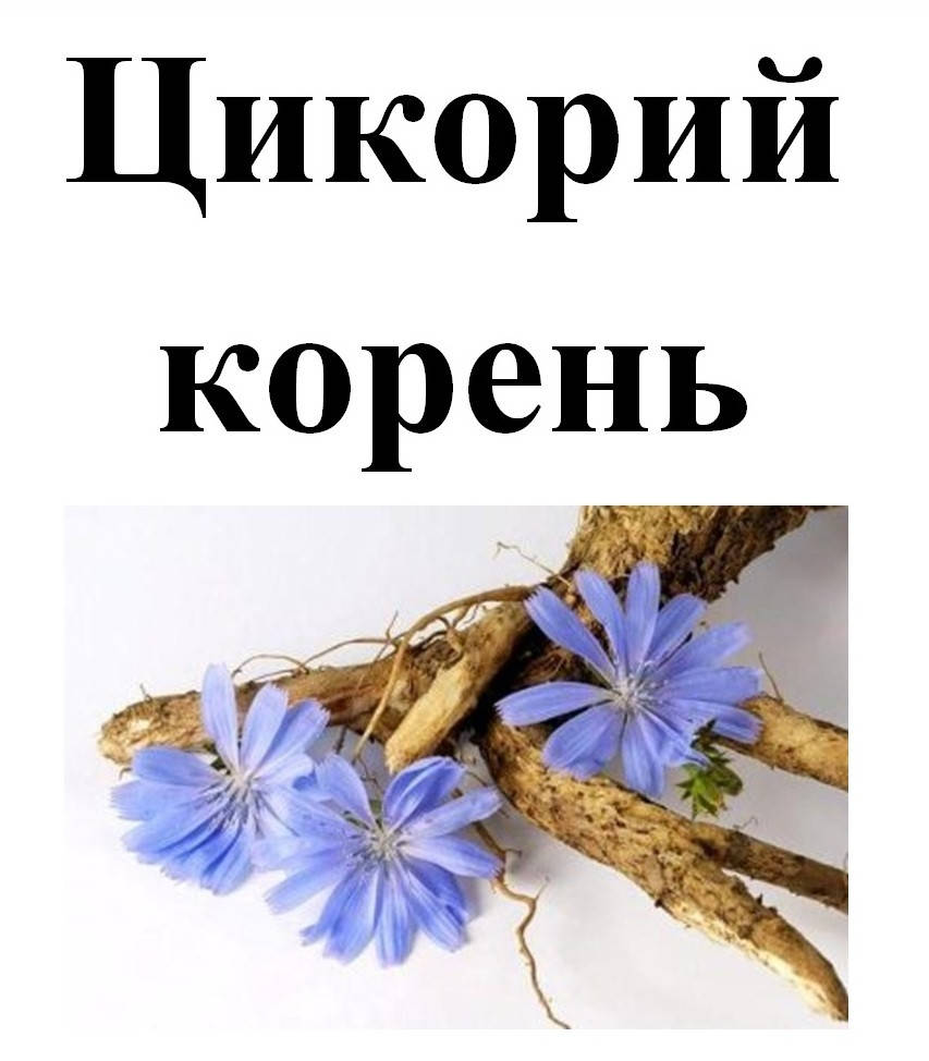 

Цикорий корень, 50 грамм