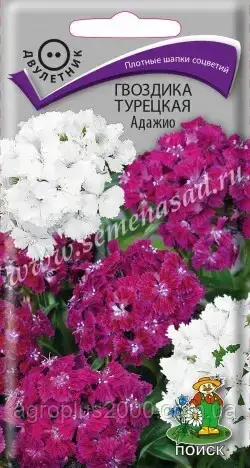 

Семена Гвоздика турецкая Адажио 0,3 грамма Поиск, Фиолетовый