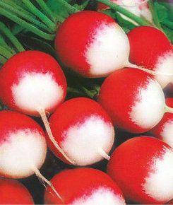 

Семена редиса Красный с белым кончиком (Укр)