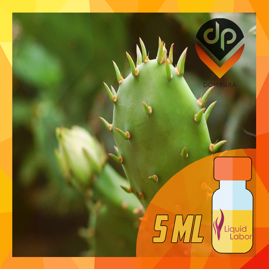 

Ароматизатор Liquid Labor Mexican Cactus 5 мл | Мексиканский кактус