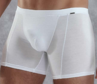 

Мужские трусы микромодал белые Doreanse 1510 L, Белый