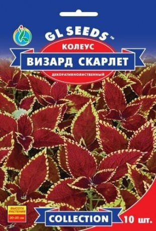 

Семена Колеус Визард Скарлетт 10 штGL-Seeds, Красный