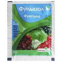 

Фунгицид Фундазол 10 г Вассма Ритейл