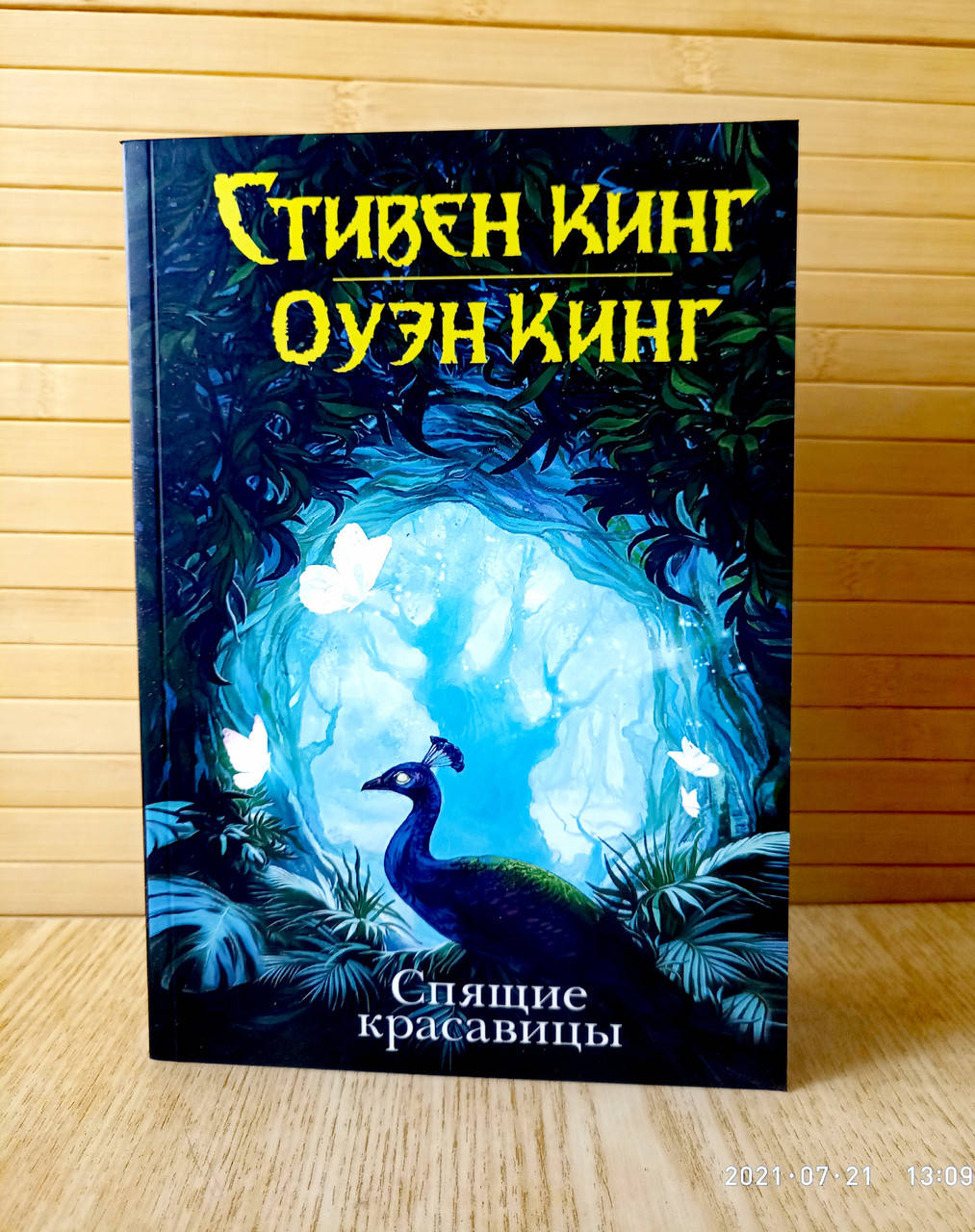 

Спящие красавицы Стивен Кинг Оуэн Кинг