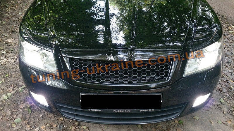 Решетка Радиатора Шкода А5 Фл Купить