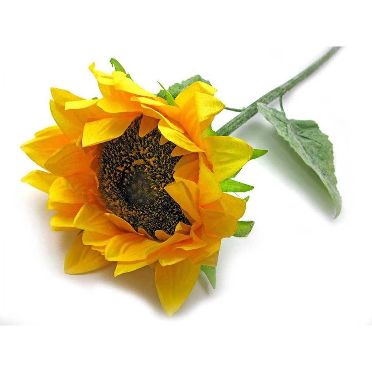 

Подсолнух (75 см)