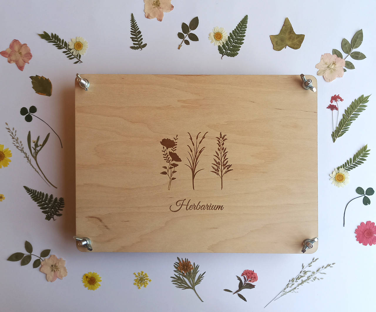 

Пресс для высушивания растений, Набор для сушки цветов, набор для создания гербария