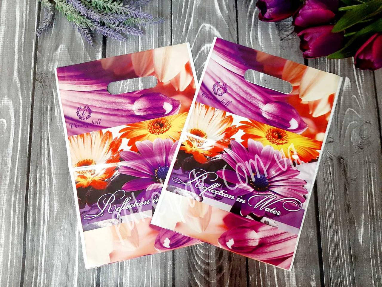 

Пакеты с вырубной ручкой банан 22 x 30 см (уп-25 шт), пакет с прорезной прорубной ручкой типа банан