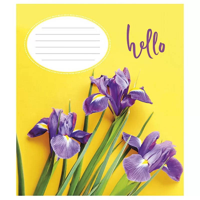 

Зошит шкільний в косу лінію 12 аркушів Школярик, Привіт