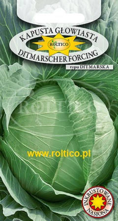 

Семена капусты Dithmarscher Forcing - Дитмаршер 2г ТМ ROLTICO