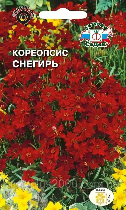 

Семена Кореопсис красильный Снегирь 0,2 грамма Седек, Красный